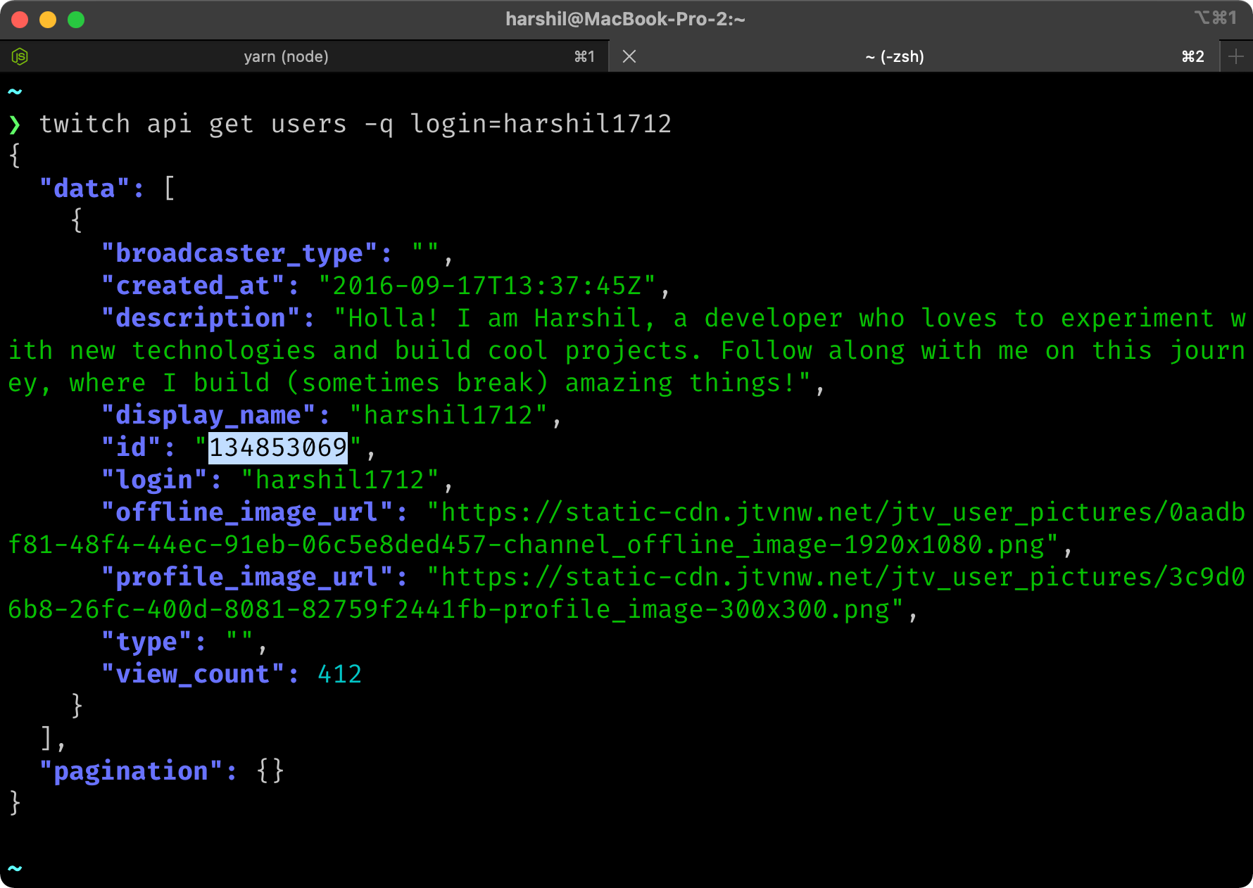 Using Twitch CLI to get my Broadcaster ID
